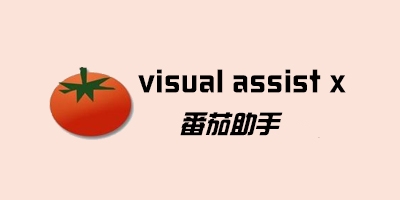 Visual Assist X 10.9.2108 官方原版+破解补丁(Visual Studio 超强插件)
