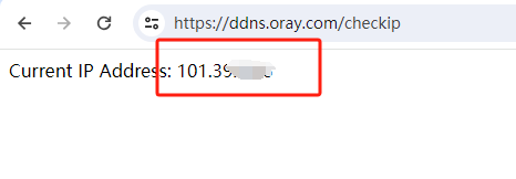 动态公网 DDNS-GO v6.17.5 配置:让你的家宽也能拥有专属域名(简单高效的内网穿透动态域名解析工具)插图5 动态公网 DDNS-GO v6.17.5 配置:让你的家宽也能拥有专属域名(简单高效的内网穿透动态域名解析工具)插图5
